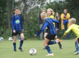 S.K.N.W.K. JO11-1JM - Halsteren JO11-4 (competitie) najaar seizoen 2021-2022 (1e fase) (29/59)